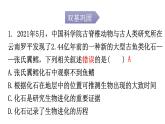 人教版八年级生物下册第七单元第三章第二节生物进化的历程分层作业课件