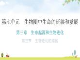 人教版八年级生物下册第七单元第三章第三节生物进化的原因分层作业课件