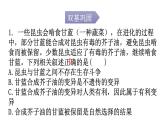人教版八年级生物下册第七单元第三章第三节生物进化的原因分层作业课件