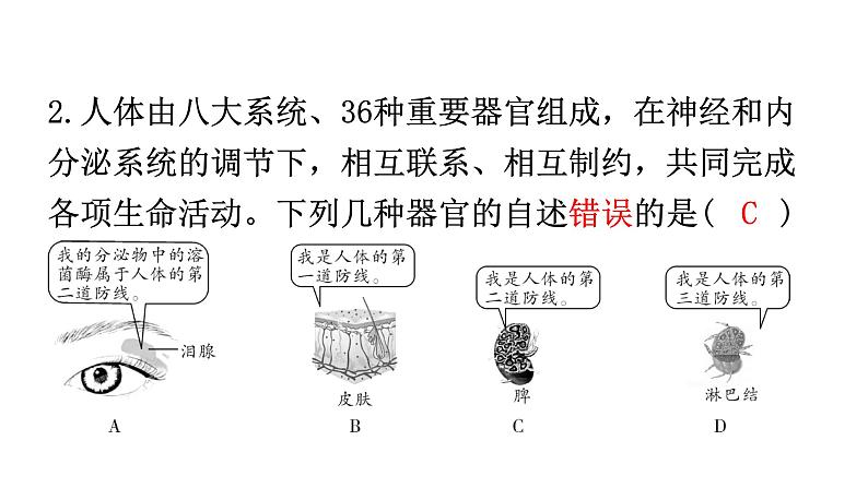 人教版八年级生物下册第八单元第一章第二节免疫与计划免疫分层作业课件第3页