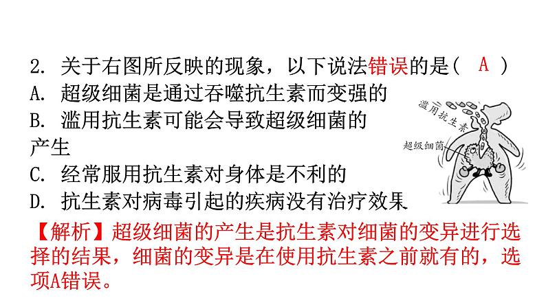 人教版八年级生物下册第八单元第二章用药与急救分层作业课件03