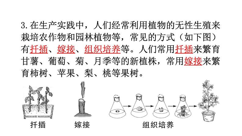 人教版八年级生物下册第七单元第一章第一节生物的生殖和发育练习课件03