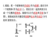 人教版八年级生物下册第七单元第一章第一节生物的生殖和发育练习课件