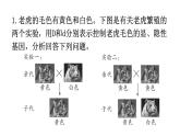 人教版八年级生物下册专项训练三实验探究题型课件