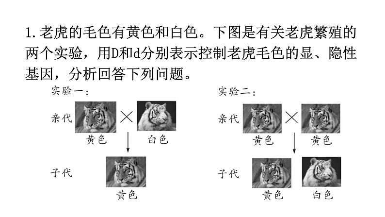 人教版八年级生物下册专项训练三实验探究题型课件02