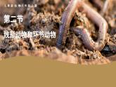 1.2線形動(dòng)物和環(huán)節(jié)動(dòng)物課件PPT
