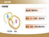 1.2線形動(dòng)物和環(huán)節(jié)動(dòng)物課件PPT