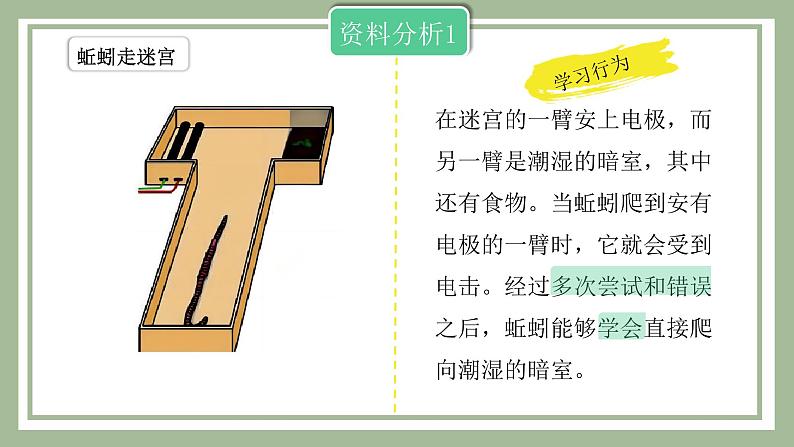 2.2先天性行为和学习行为课件PPT08