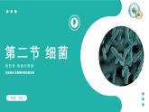 新人教版（新课标）生物八上：4.2细菌课件PPT