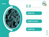 新人教版（新课标）生物八上：4.2细菌课件PPT