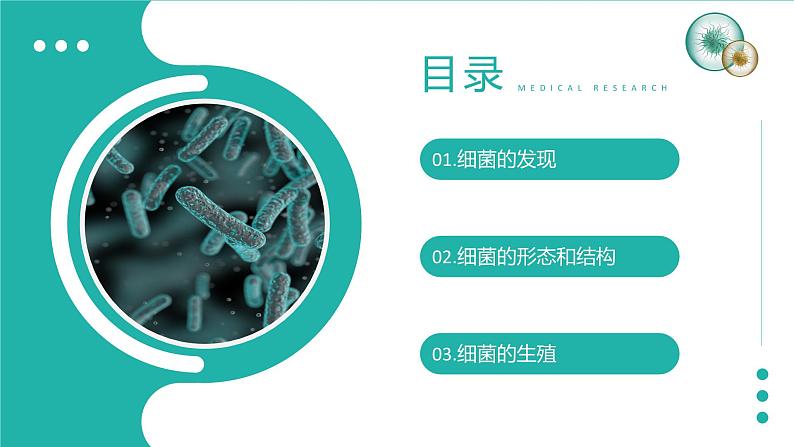 新人教版（新课标）生物八上：4.2细菌课件PPT第2页