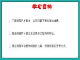 新人教版（新课标）生物八上：4.2细菌课件PPT