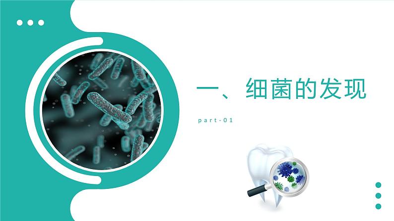 新人教版（新课标）生物八上：4.2细菌课件PPT第6页