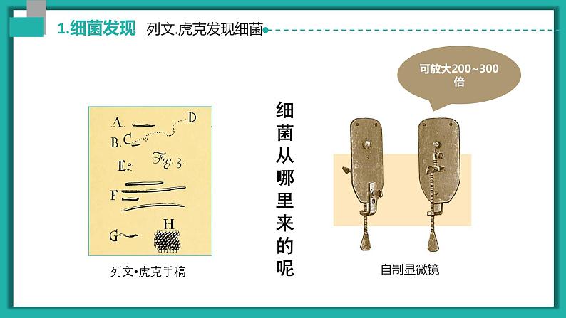 新人教版（新课标）生物八上：4.2细菌课件PPT第8页