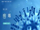 新人教版（新课标）生物八上：5病毒课件PPT