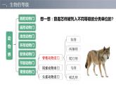 6.1.2从种到界课件PPT