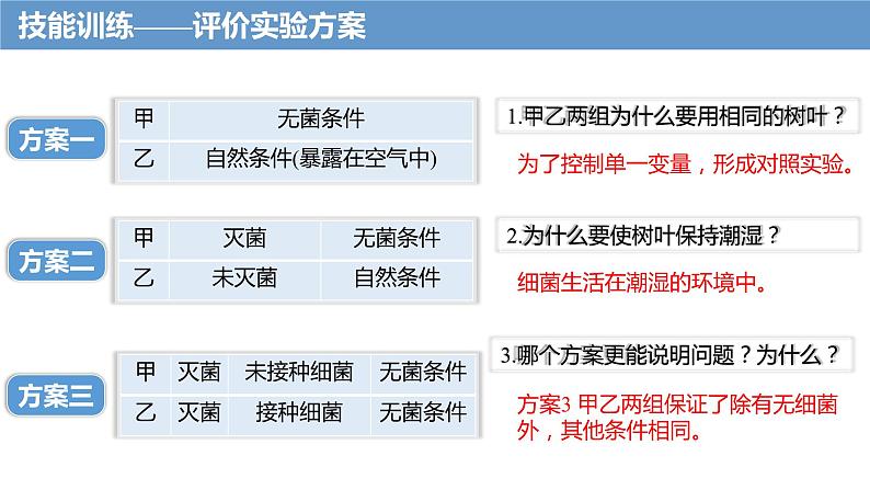 4.4细菌和真菌在自然界中的作用课件PPT08