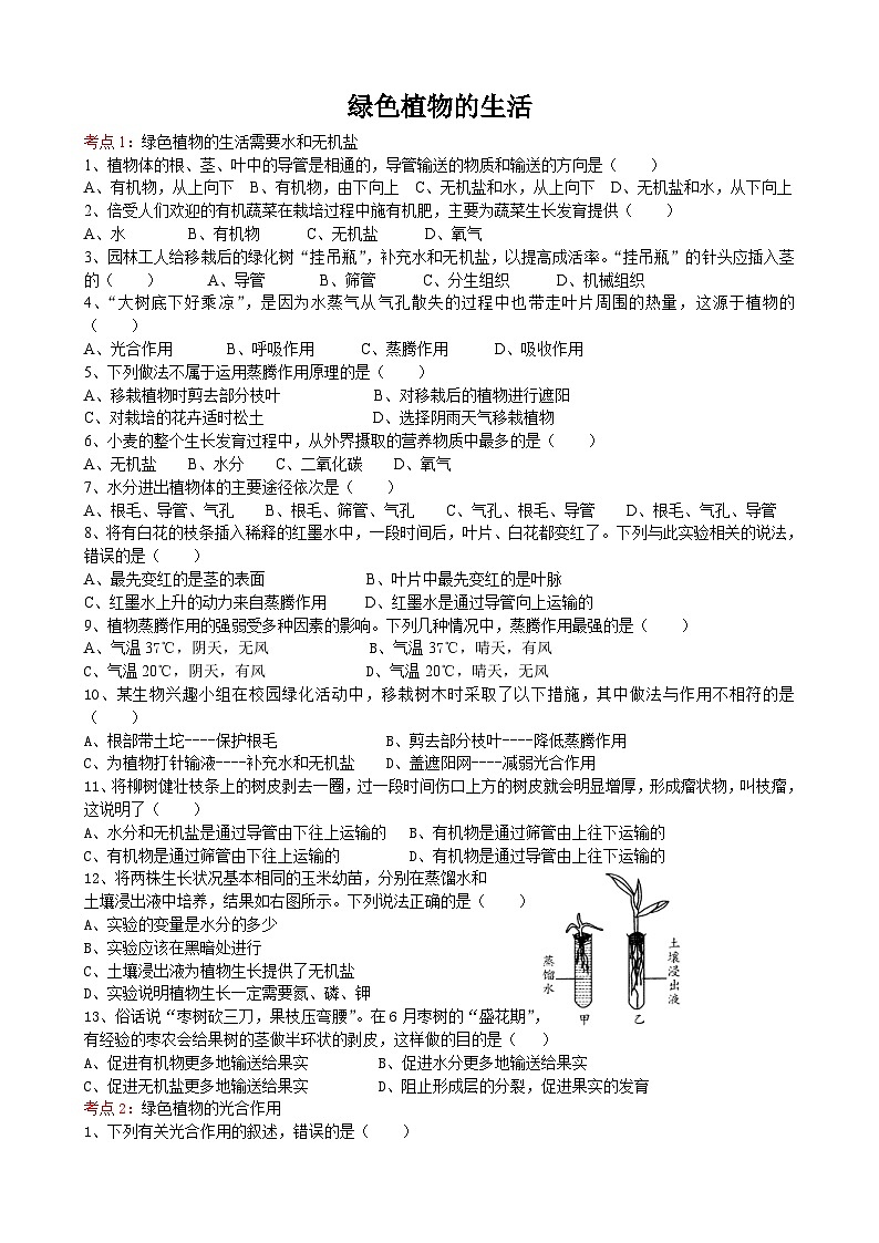 中考生物一轮复习考点测试题4绿色植物的生活 (含答案)第1页