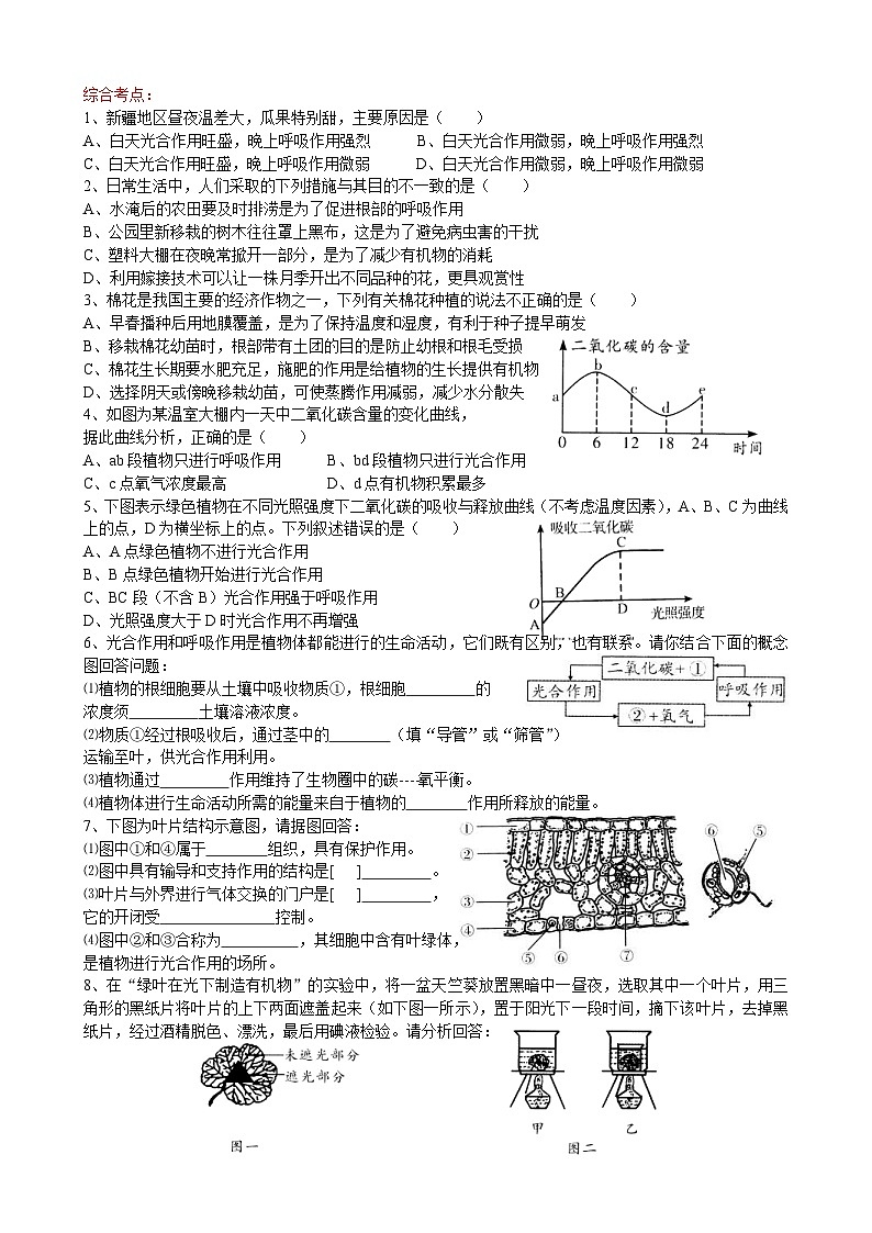 中考生物一轮复习考点测试题4绿色植物的生活 (含答案)第3页