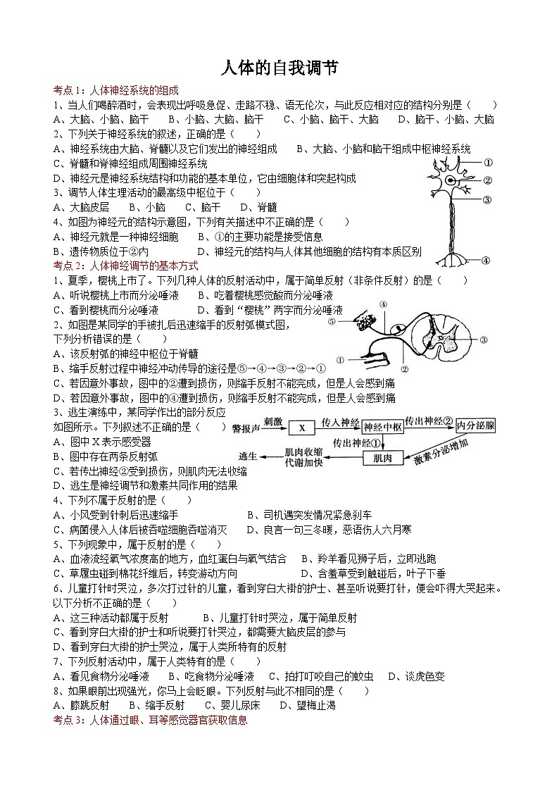 中考生物一轮复习考点测试题10人体的自我调节 (含答案)第1页