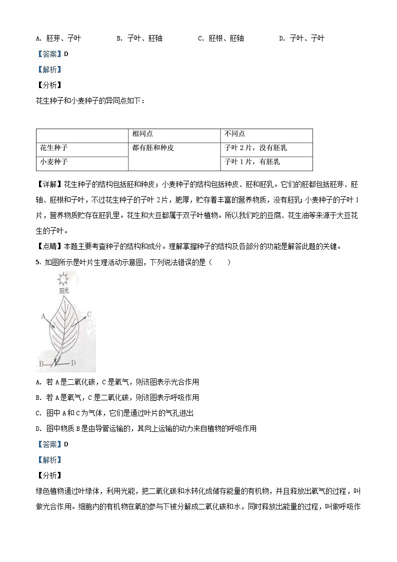 甘肃省兰州市2020年中考生物试题（A）（含解析）03