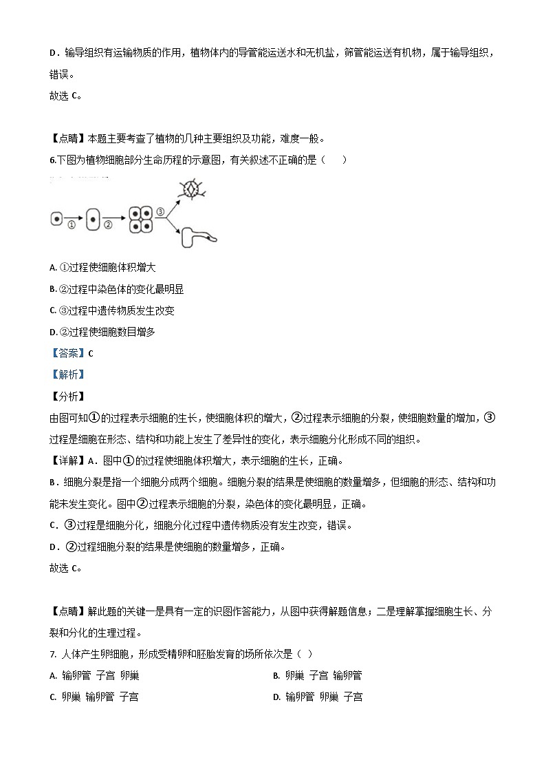 海南省2020年中考生物试题（含解析）03