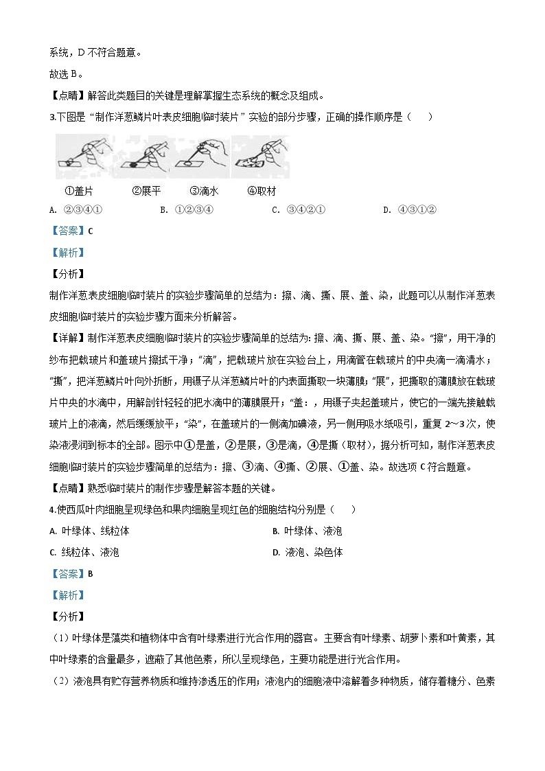 湖南省邵阳市2020年中考生物试题（含解析）02