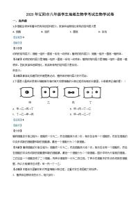 辽宁省辽阳市2020年中考生物试题（含解析）