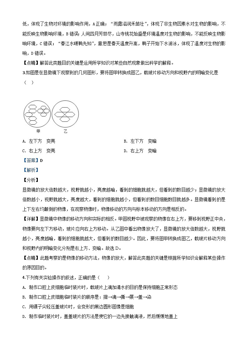 山东省临沂市2020年中考生物试题（含解析）02