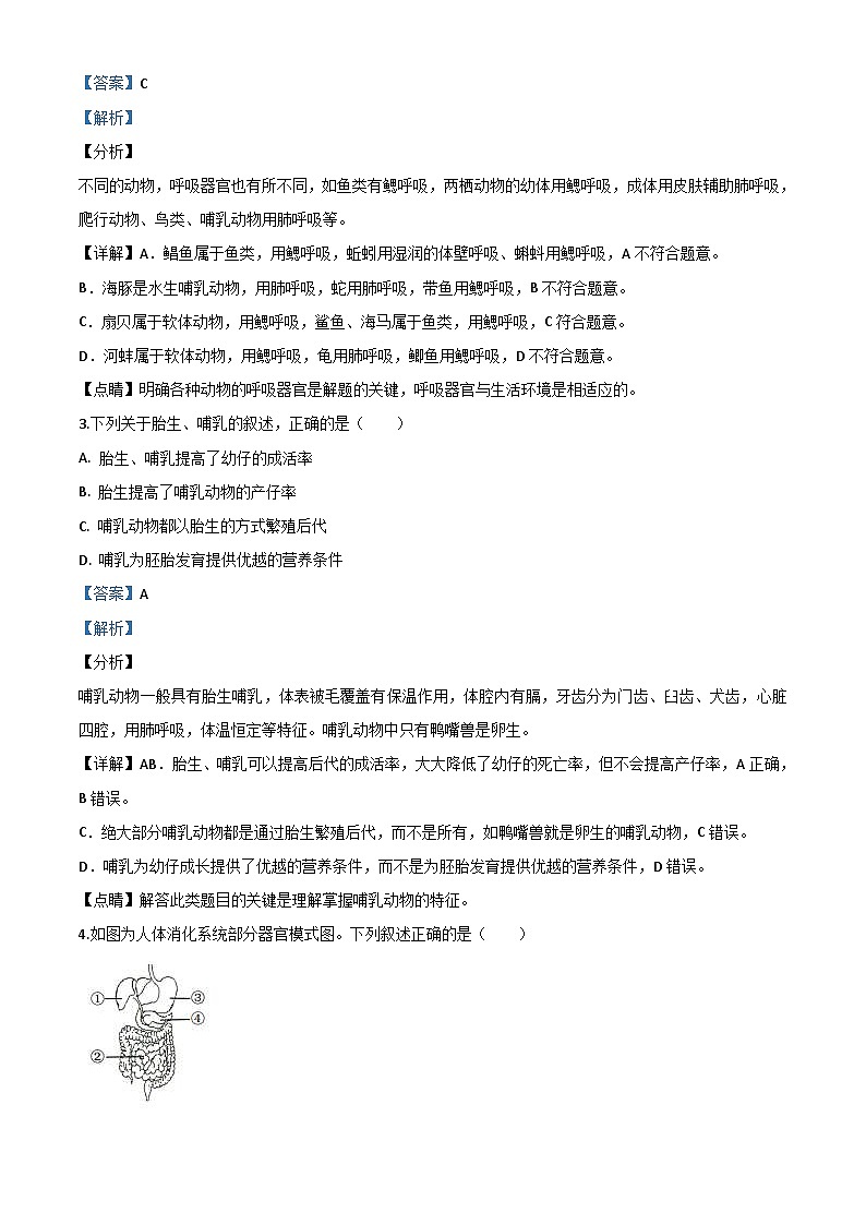 山东省青岛市2020年中考生物试题（含解析）第2页
