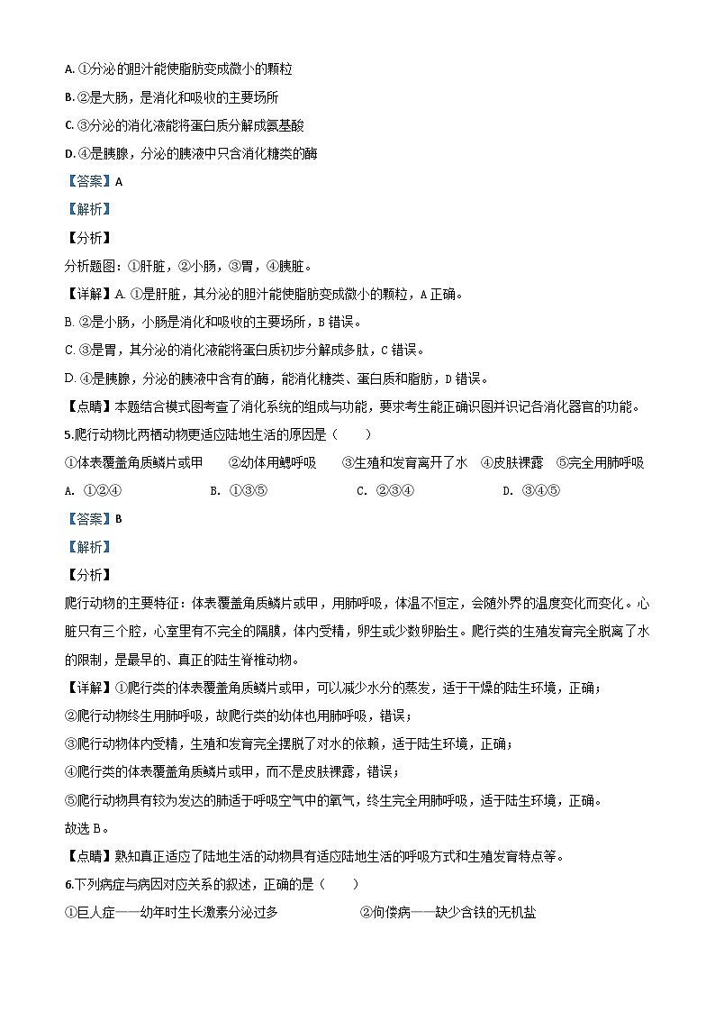 山东省青岛市2020年中考生物试题（含解析）第3页