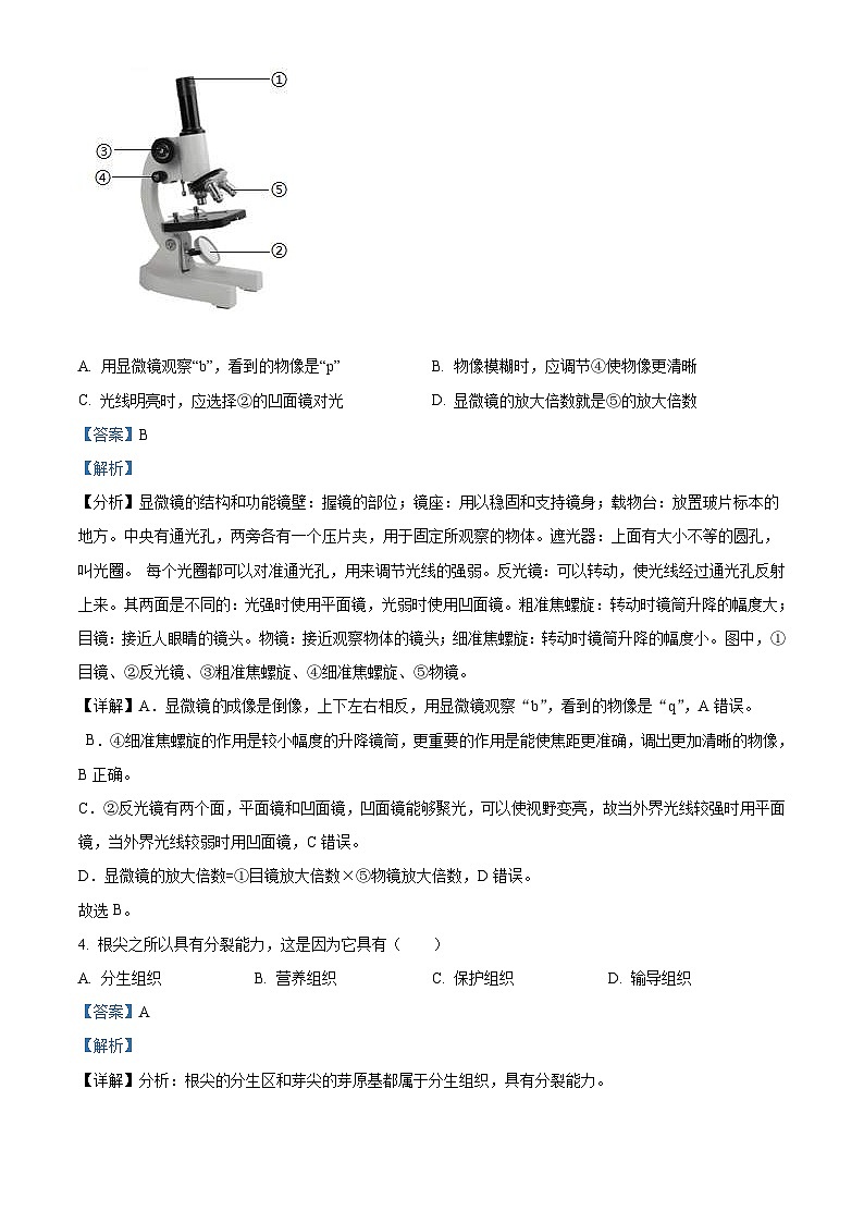 2022年河南省中考生物真题（含解析）02