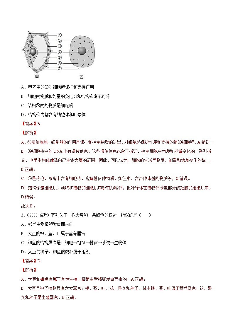 2022年中考生物真题分项汇编专题02 生物体的结构层次（含解析）第2页