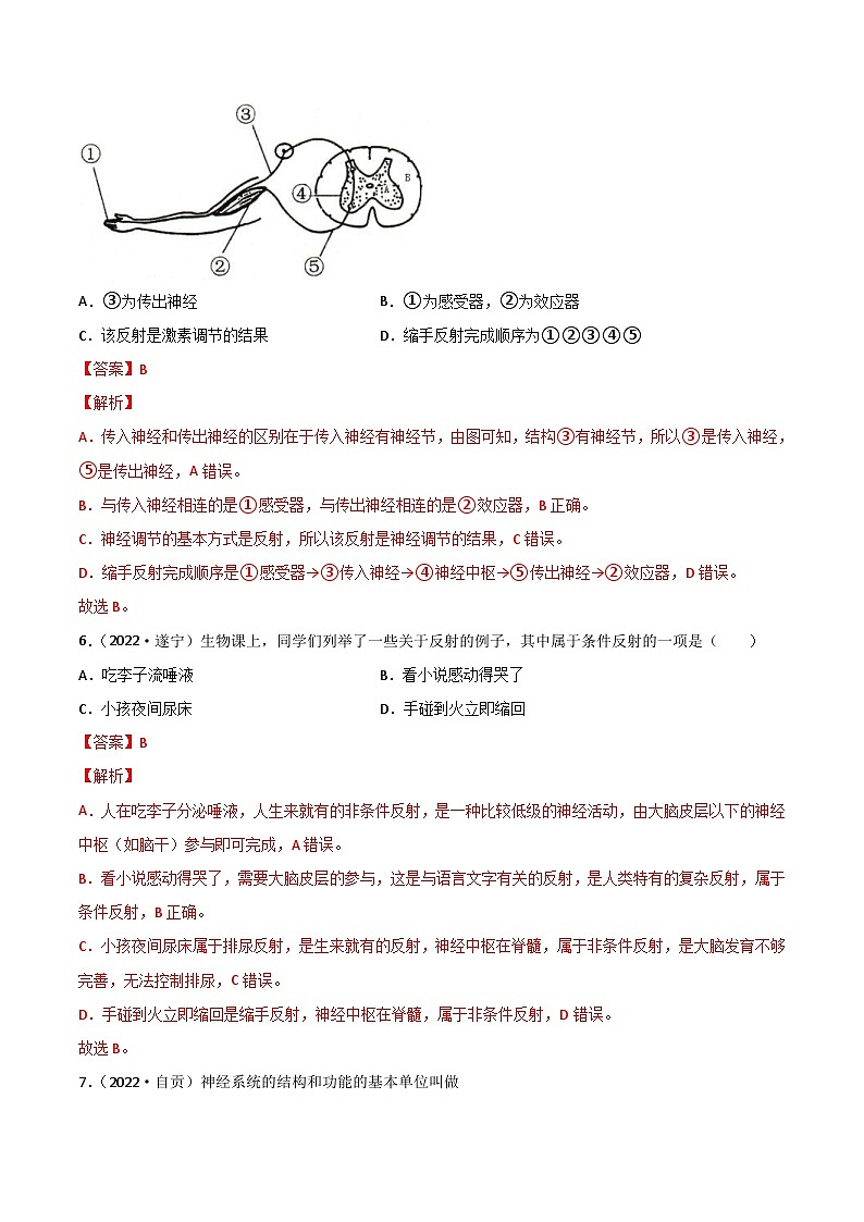 2022年中考生物真题分项汇编专题07 人体生命活动的调节（含解析）第3页