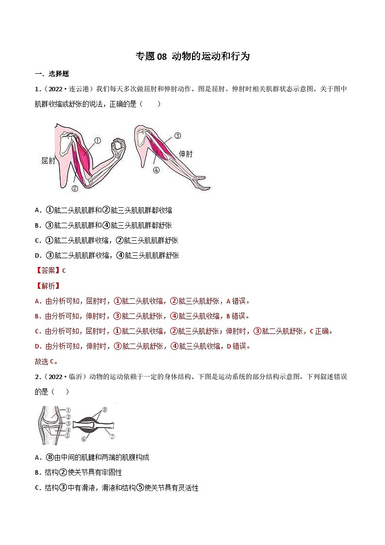 2022年中考生物真题分项汇编专题08 动物的运动和行为（含解析）第1页