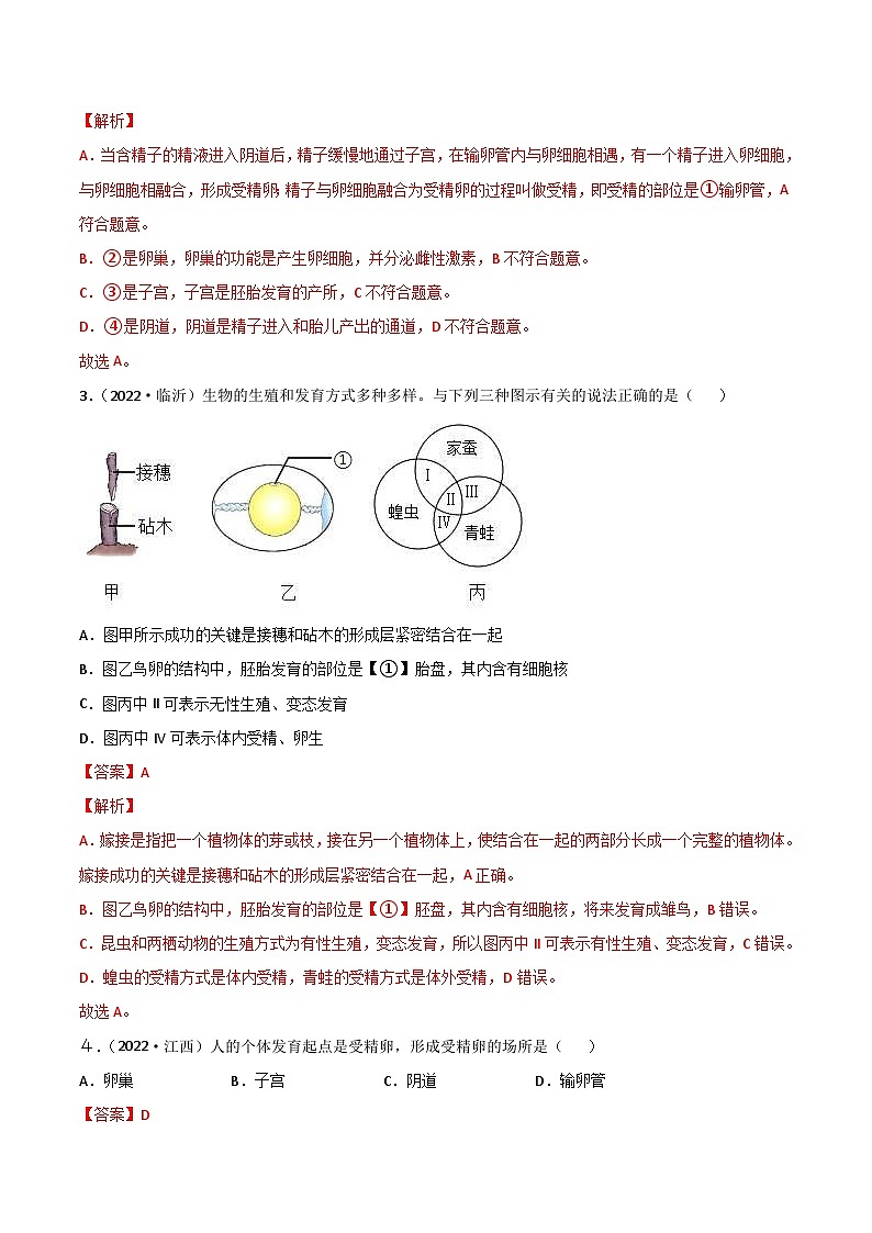 2022年中考生物真题分项汇编专题11 生物的生殖和发育（含解析）第2页