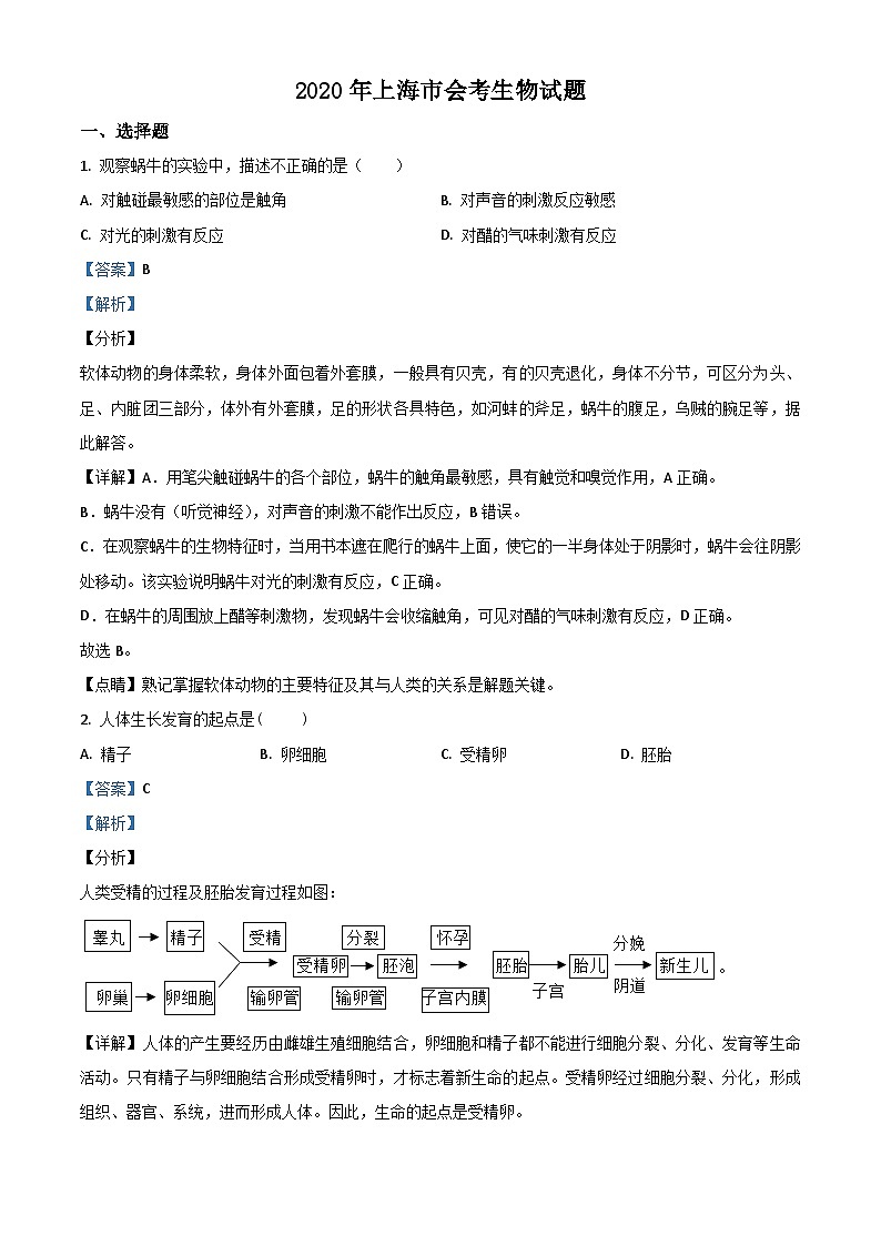 2020年上海市会考生物试题（含解析）01