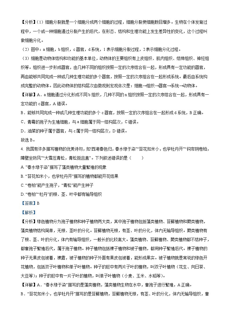 2022年山东省泰安市中考生物真题（含解析）03
