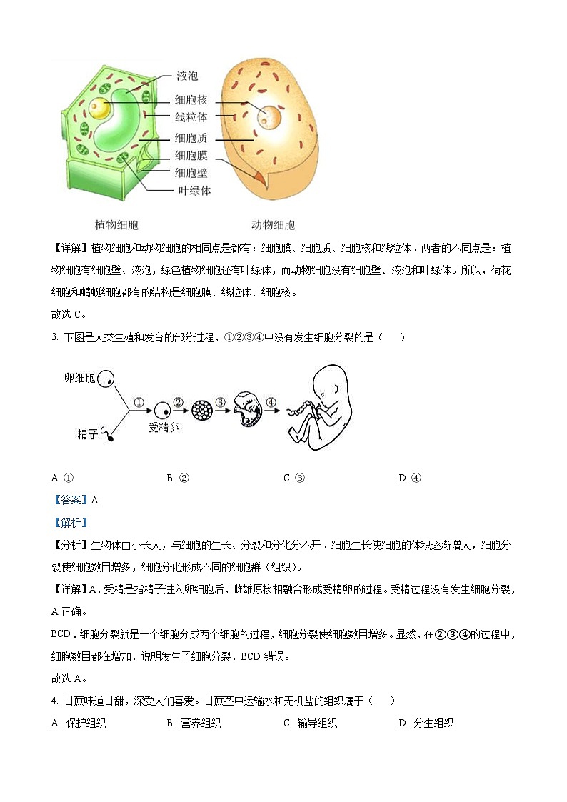 2022年四川省成都市中考生物真题（含解析）第2页