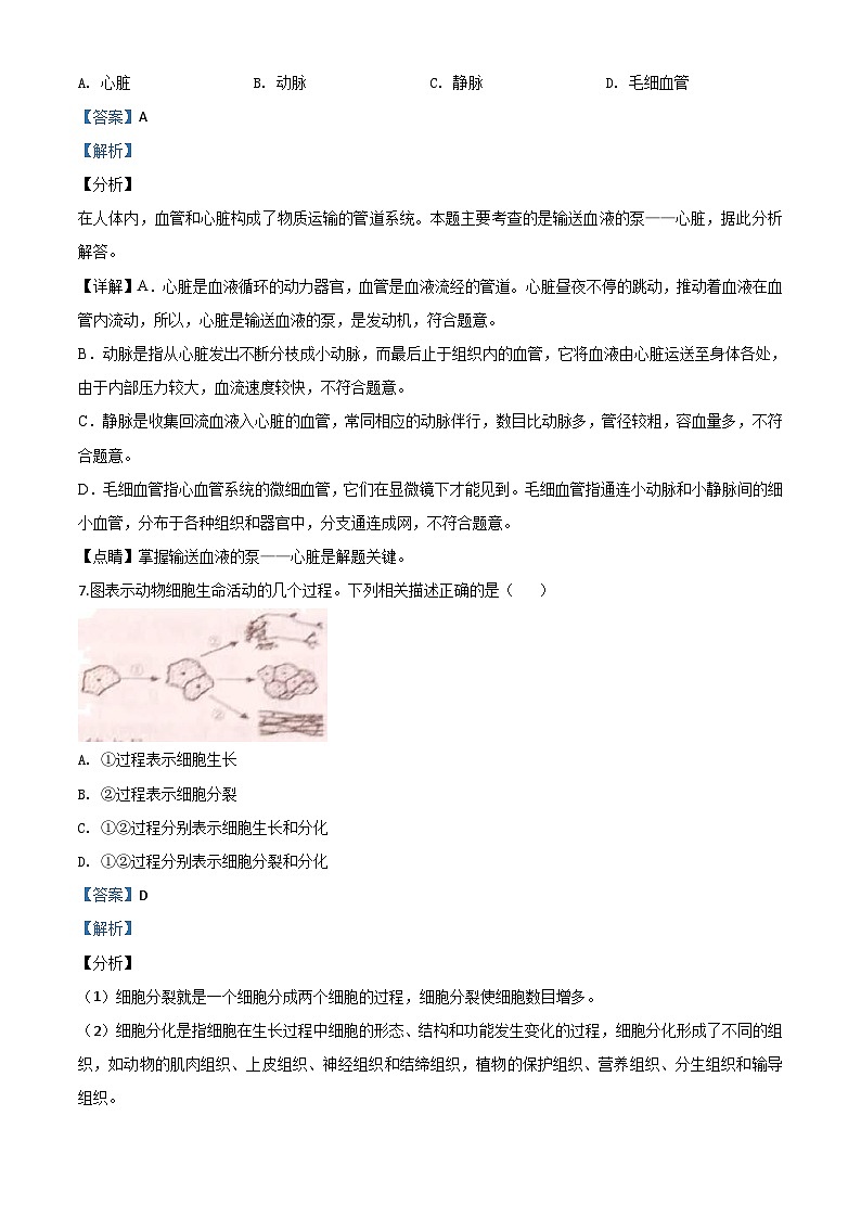 宁夏2020年八年级会考生物试题（含解析）03