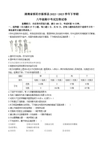 湖南省邵阳市新邵县2022-2023学年八年级下学期期中生物试题