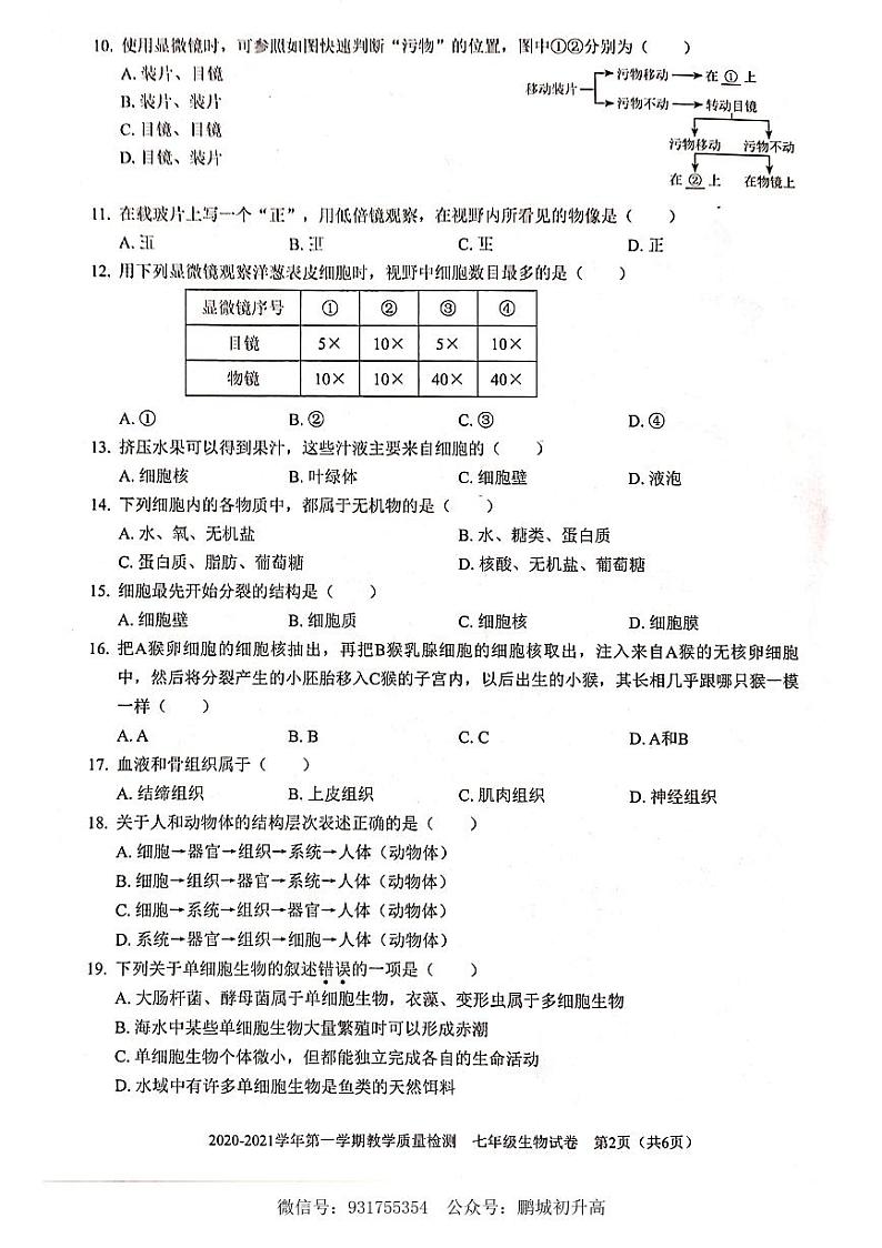 2020-2021学年深圳市福田区七年级上册期末考生物试题含答案02