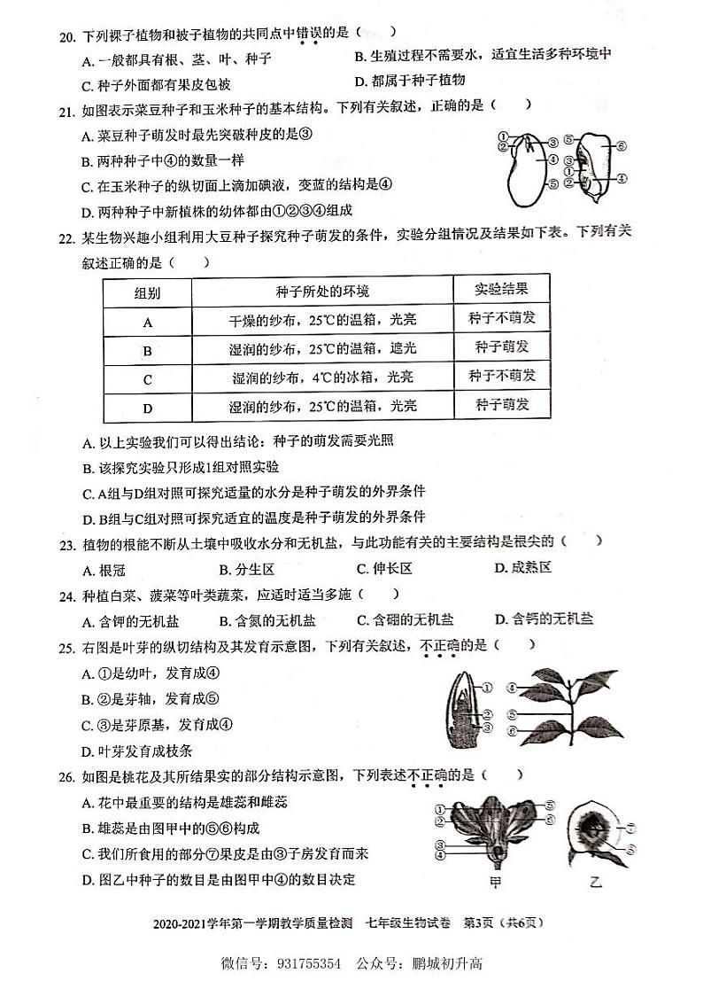 2020-2021学年深圳市福田区七年级上册期末考生物试题含答案03