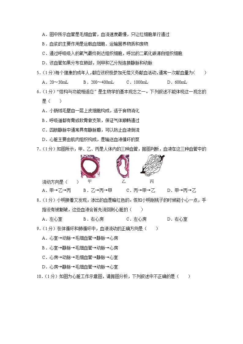 甘肃省庆阳市西峰区黄官寨实验学校2022-2023学年七年级下学期6月份月考生物试卷第2页