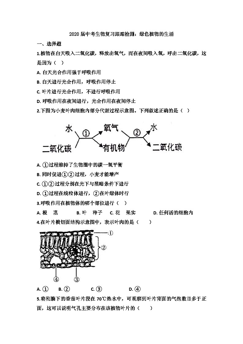 中考生物一轮复习跟踪检测：绿色植物的生活（含答案）第1页