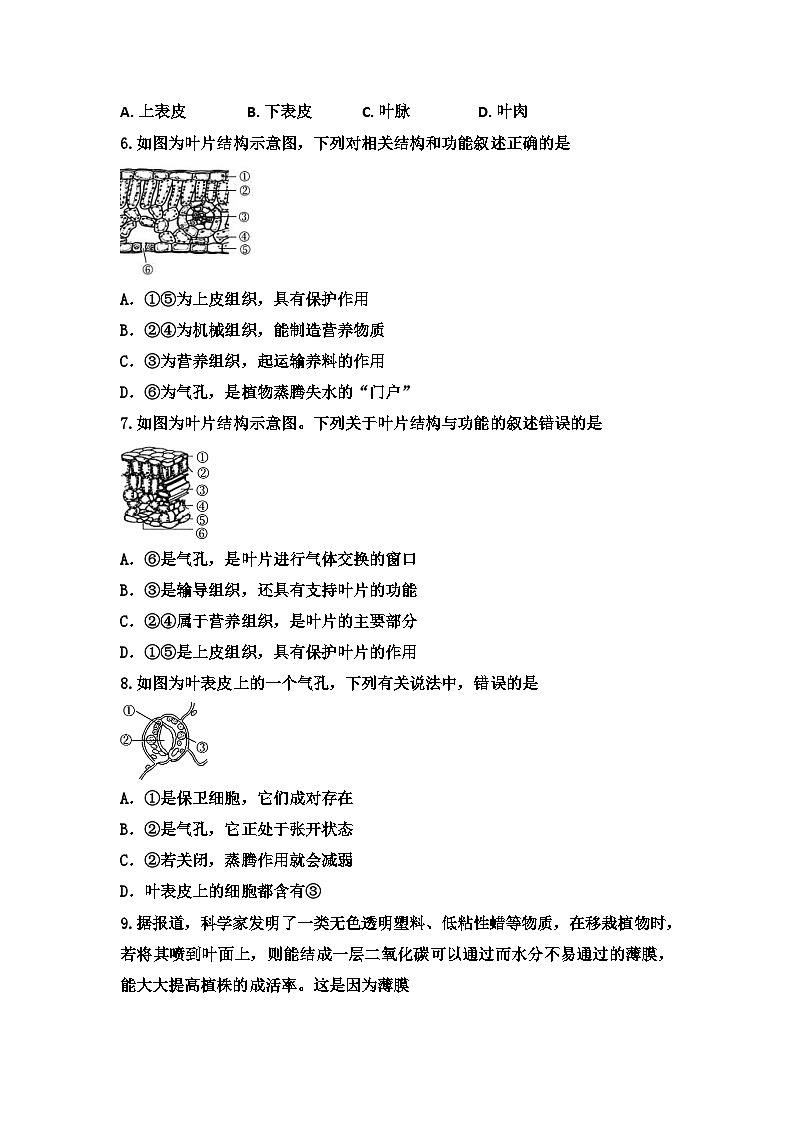 中考生物一轮复习跟踪检测：绿色植物的生活（含答案）第2页