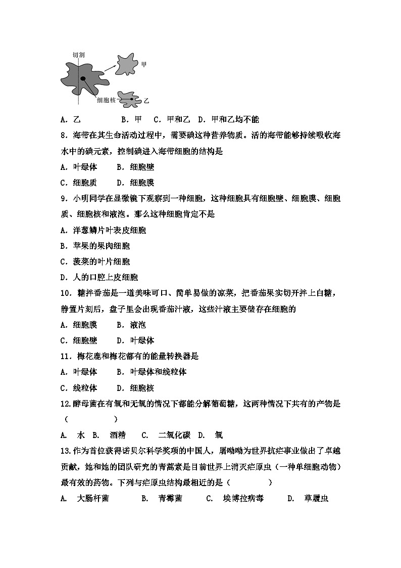 中考生物一轮复习跟踪检测：细胞和生物（含答案）第2页