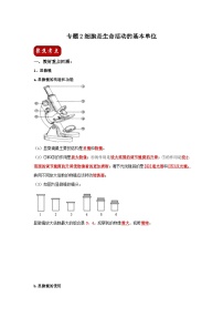 中考生物一轮复习考点梳理与过关练习专题02 细胞是生命活动的基本单位（含解析）