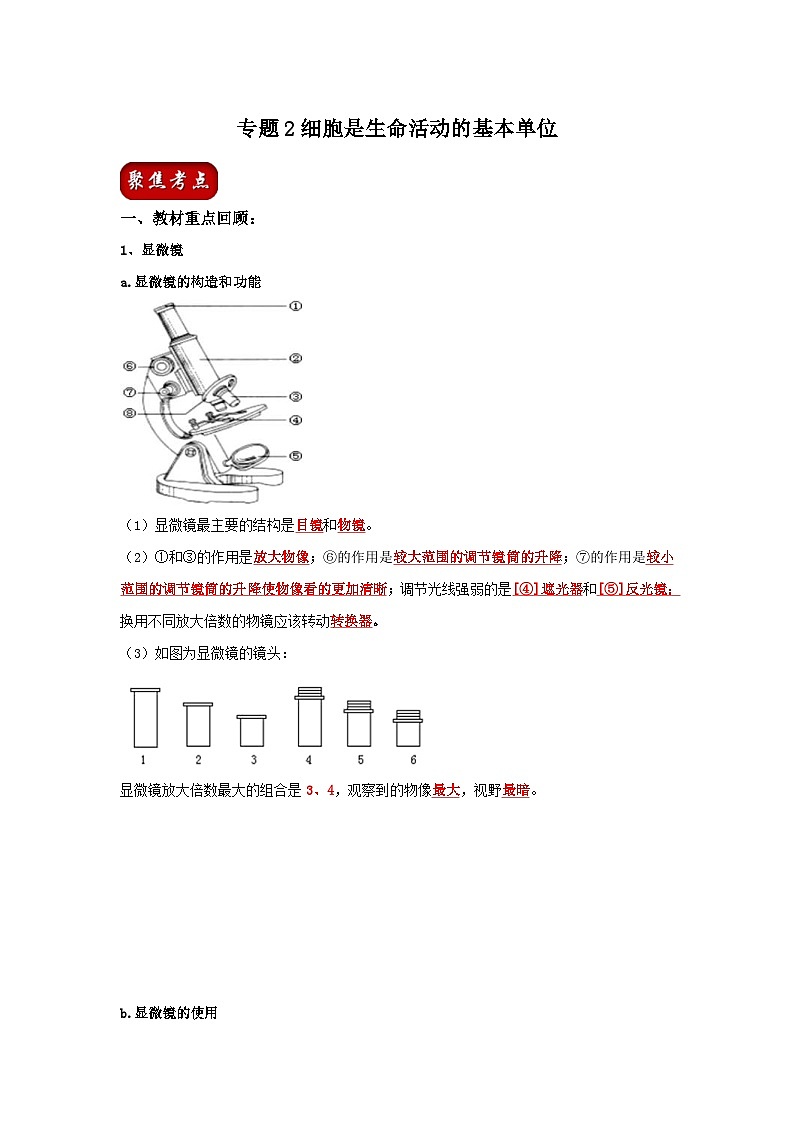 中考生物一轮复习考点梳理与过关练习专题02 细胞是生命活动的基本单位（含解析）01