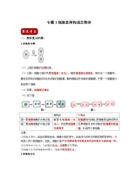 中考生物一轮复习考点梳理与过关练习专题03 细胞怎样构成生物体（含解析）